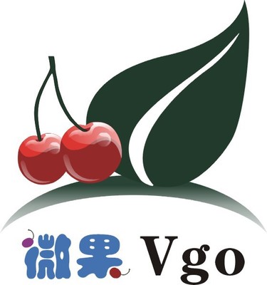 严达计算机软硬件简介